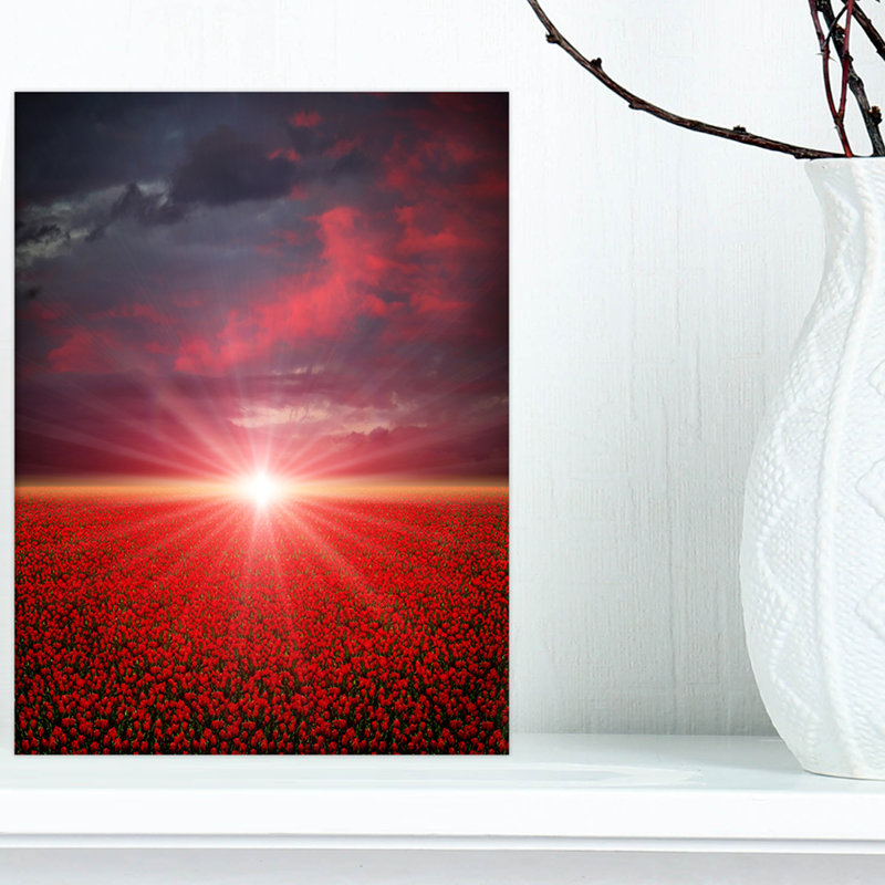 « red pops » à coucher de soleil, reproduction de photo sur toile tendue, H 40 po x l 30 po x P 1 po, Toile tendue