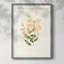 Estampe florale vintage LXII - Estampe botanique vintage, encadrée sous verre acrylique, décoration murale pour salon et salle à manger-278104861