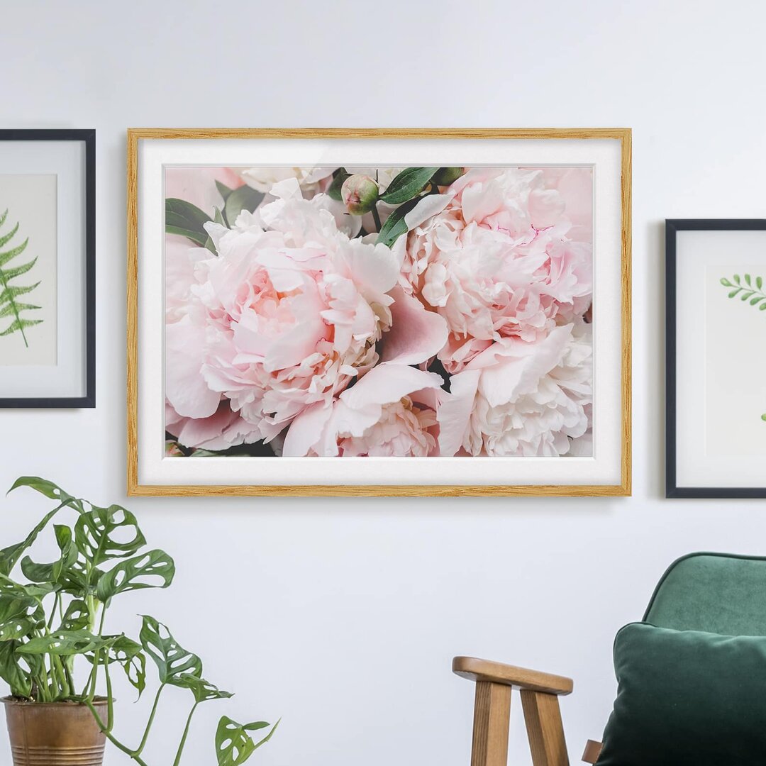 Gerahmtes Poster Peonies Light Pink