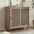 Beshears Natural Craft Rattan Sliding Door Accent Cabinet