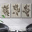 3 pièces Arbor-97758244-97758251