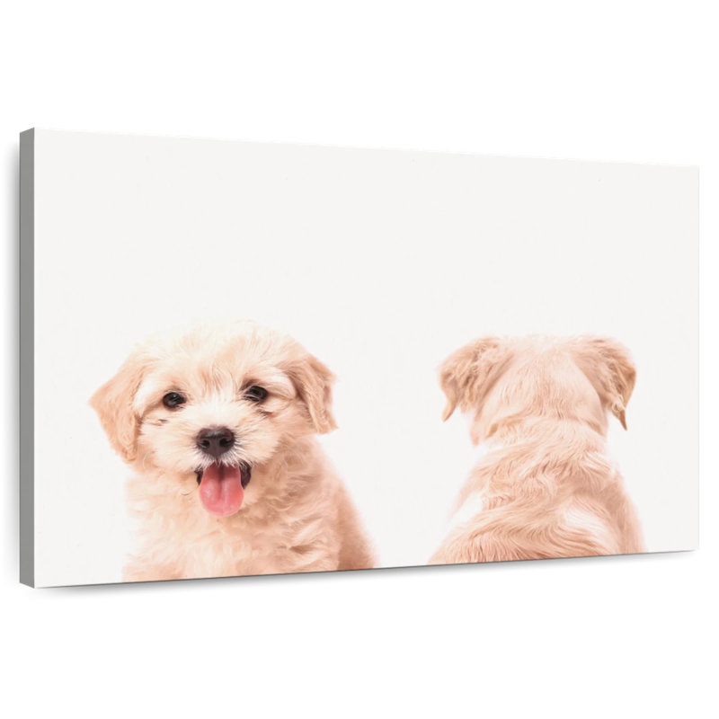 Portrait d'un chiot Brampt, H 20 po x l 30 po