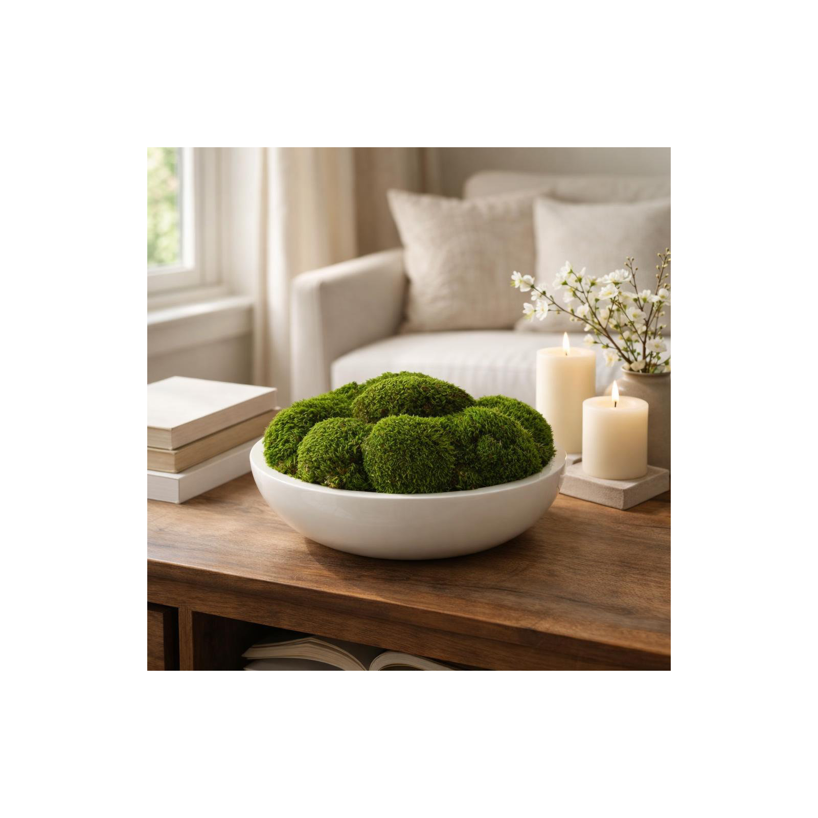 Preserved Moss Plant in Planter, 8" H x 14" W x 14" D