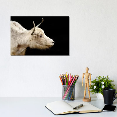 Cow VI by Goran Anastasovski - Wrapped Canvas Print