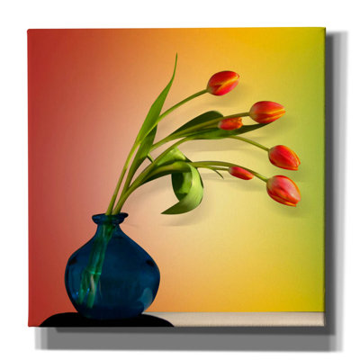" Modern Bouquet 2 " by Mark Ashkenazi
