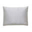 Vionnet Lucent Polyester Zipper Sham-24145064-53599257