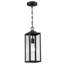 Schlesinger Outdoor Hanging Lantern