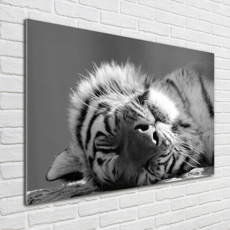 Sleepy Tiger - No Frame Print on Glass