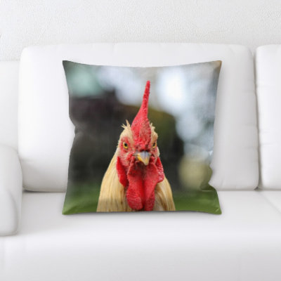 Coussin 3 jetés de poulet Edgao