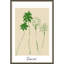 «Tropical 02 Green Palm» par Treechild, reproduction d'art sur toile encadrée-2146060890