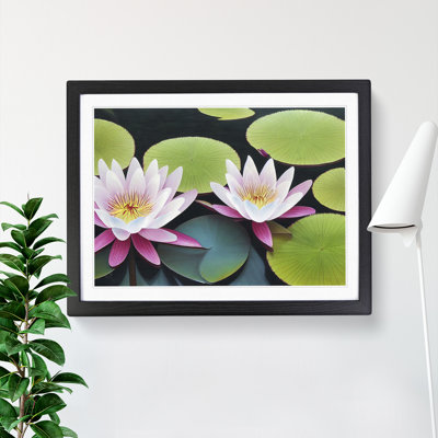Beguiling Water Lily Flowers - Single Picture Frame Print
