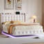 Upholstered Bed