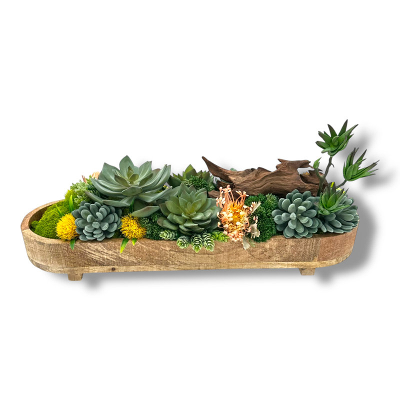 Conception succulente dans un vase allongé en bois verni clair