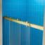 Porte de douche coulissante double sans cadre avec système de fermeture en douceur WOODBRIDGE, largeur de 56 à 60 po x hauteur de 80 po avec verre trempé transparent de 3/8 po (10 mm)-125043569