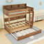 Lit superposé en bois avec lit gigogne simple et tablettes de rangement intégrées, échelle-973404076-973404079