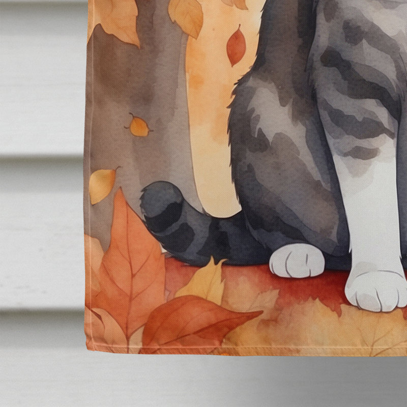 Chat en feuilles d'automne, American Wirehair