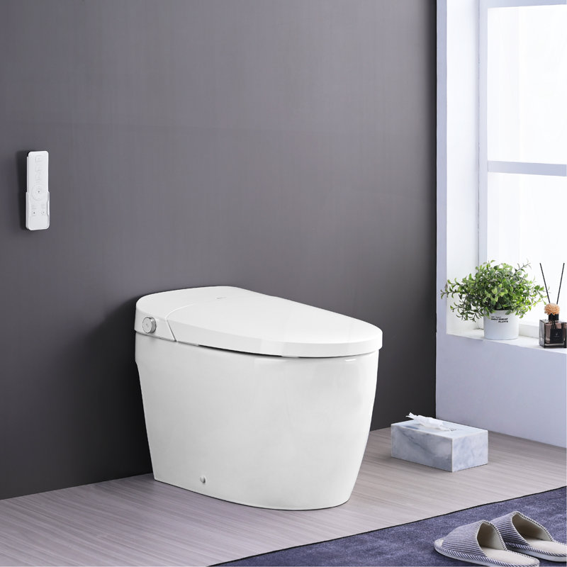 Smart Toilet Bidet Combo With Self-Cleaning Nozzle