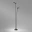 Birdie LED Bollard Light