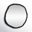 Nola Aluminum Novelty Mirror-113589176-23750052