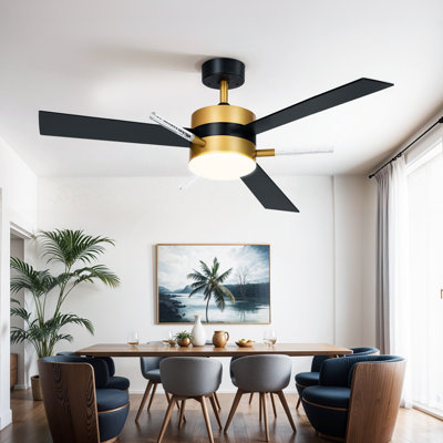 Graceanne 60'' Ceiling Fan with LED Lights