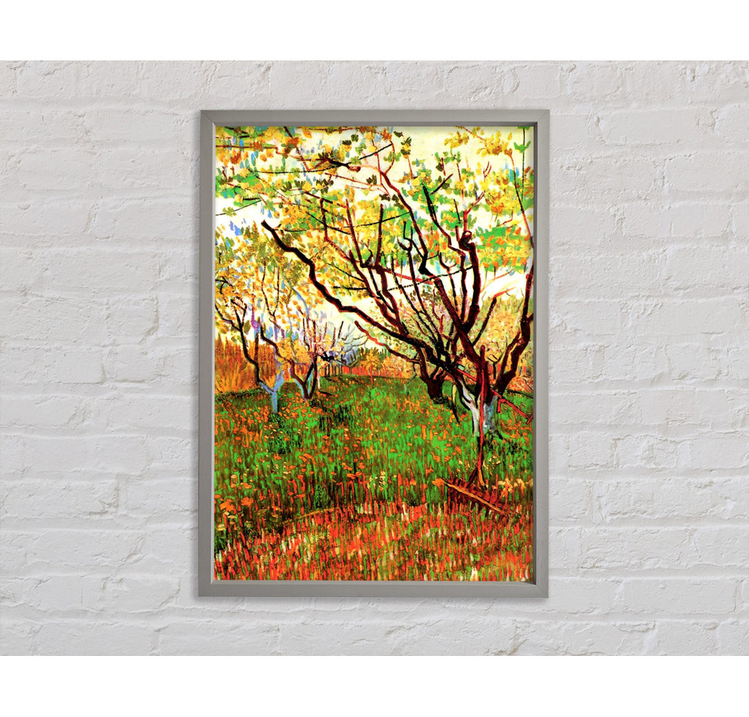 Orchard In Blossom von Vincent Van Gogh - Einzelbildrahmen Kunstdrucke auf Leinwand