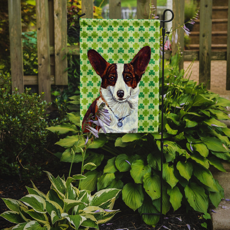 Drapeau de jardin à 2 côtés st. patrick day trèfle, Corgi (brun et blanc)