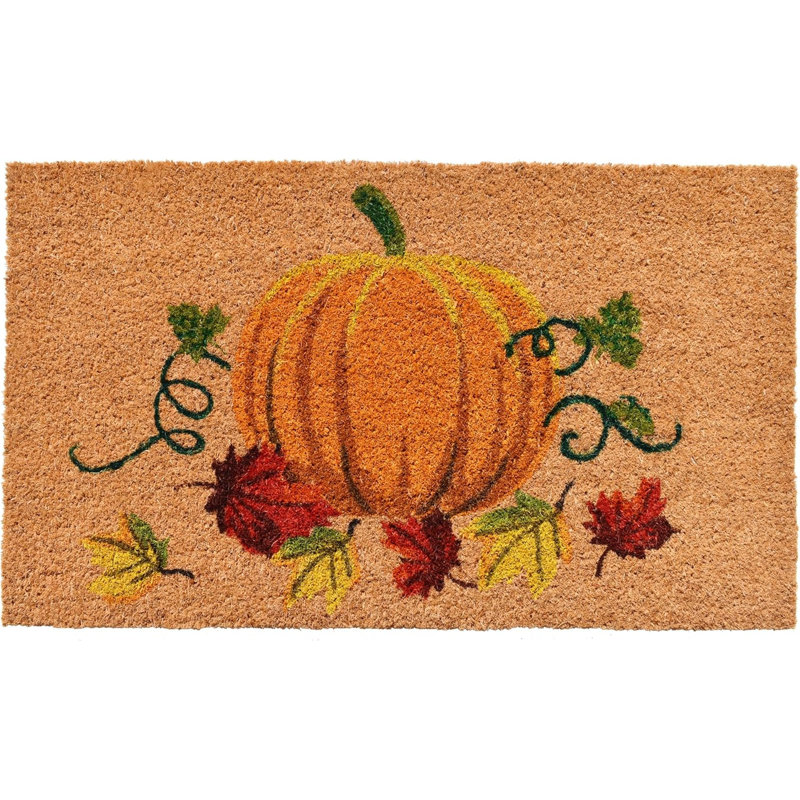 Paillasson d'extérieur 24 po x 36 po Coir