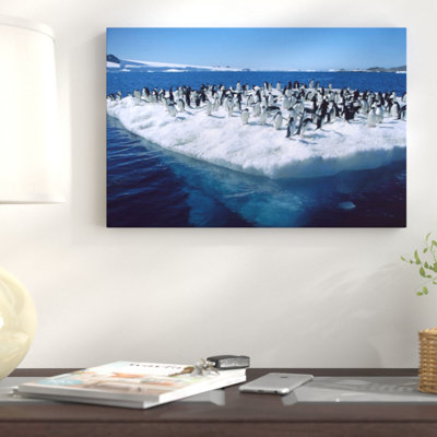 " Adelie Penguins On Icefloe "