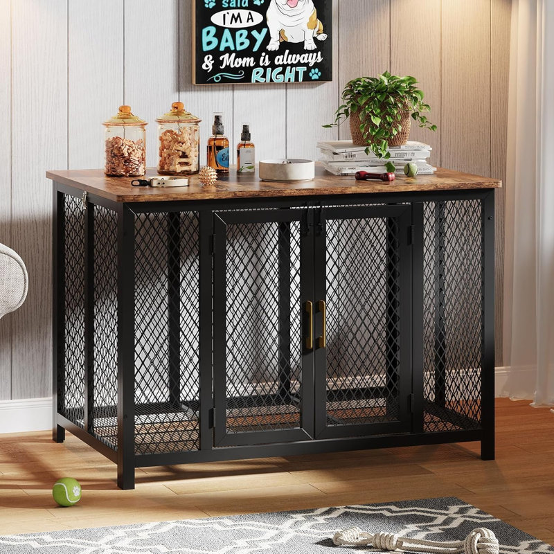 Dog House