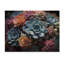 Seab Blue Succulent Field II sur impression sur bois-701171150