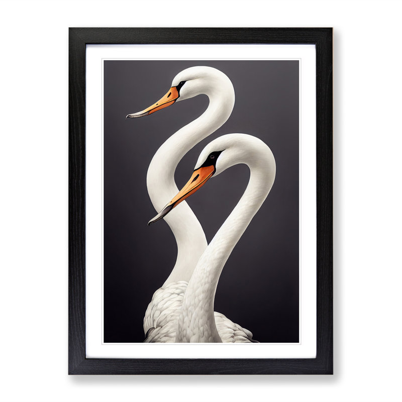 Two Pretty Swans - Wall Art, Black Picture Framed, 66cm H x 48cm W x 3cm D, White