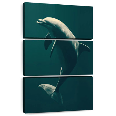Brampt Underwater Dolphin