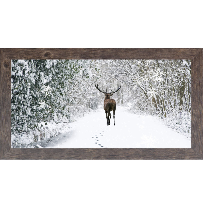 Orignal, élan, taureau, hiver, faune encadrée, art