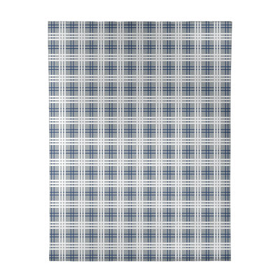 Plaid Indoor Rug