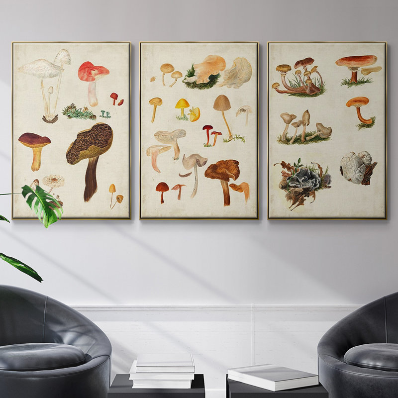 Champignon X, H 27 po x l 54 po x P 2 po, Or