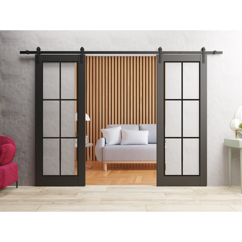 Porte de grange double robuste avec verre transparent | Lucia 2366 | Ensemble lourd de cintres en acier inoxydable 13 pi | Portes intérieures à panneau plein - Rail argenté - Verre transparent