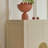 9 Pair Shoe Storage Cabinet