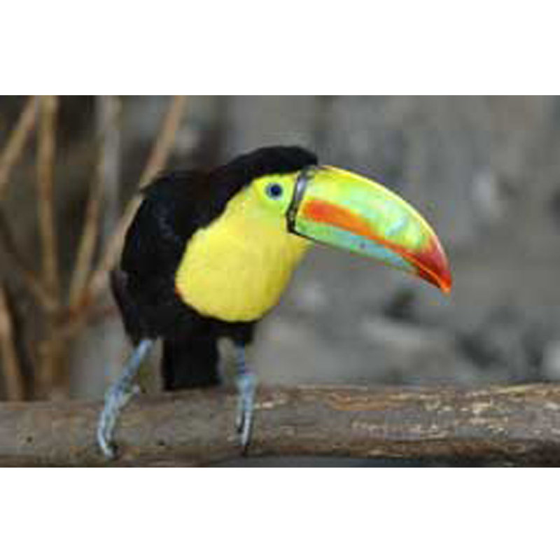 Adhésif décoratif Toucan I, H 31,5 po x l 48 po x P 0,1 po