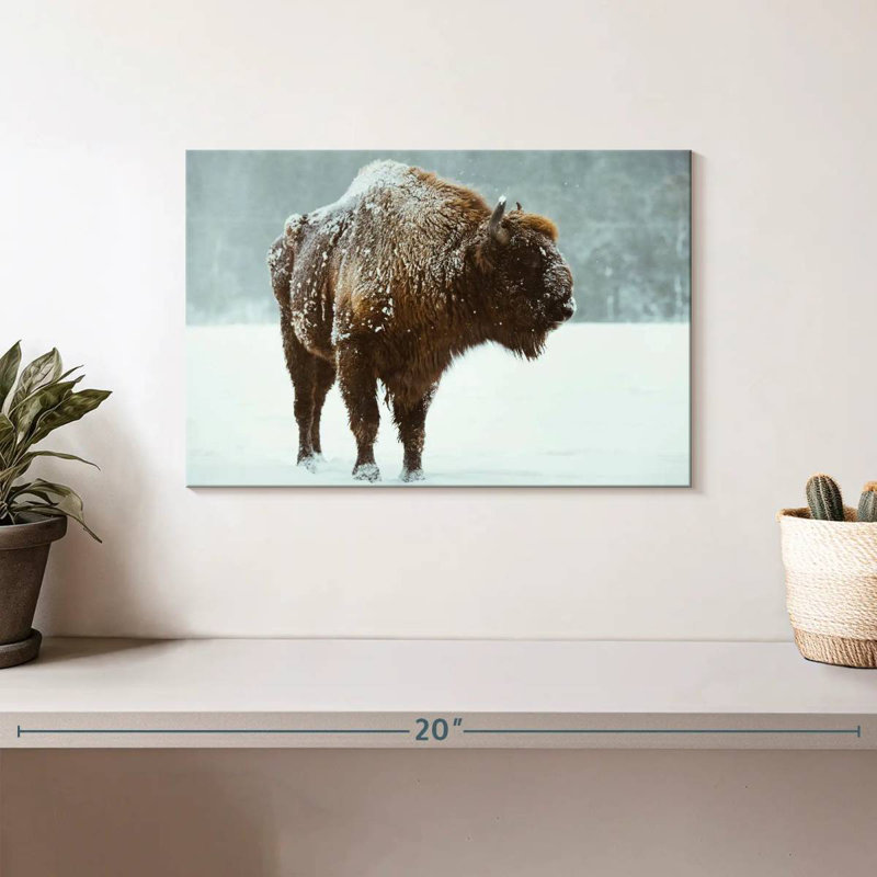 Brampt Snow Bison, 8" H x 12" W