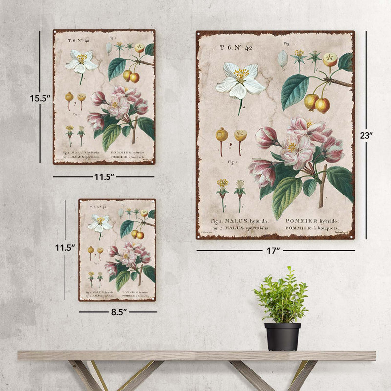 Fleur rétro, encyclopédie de pommetiers, H 15,5 po x l 11,5 po x P 0,04 po