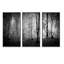 «Beautiful Forest Morning Panorama», ensemble de 3 toiles encadrées-396818800-396818803
