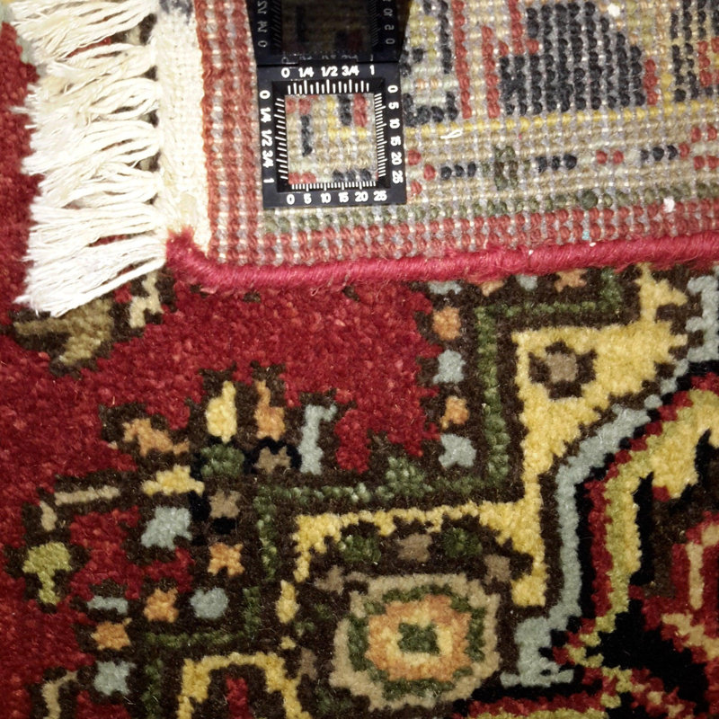Oreen Oriental Area Rug in Red