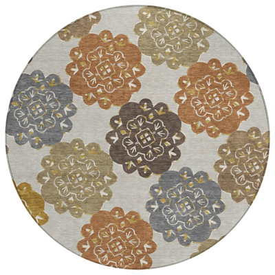 Machine Washable Indoor/Outdoor Adalaide ACN2353 Casual Rug
