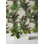 Papier peint botanique vert feuilles de palmier tropical