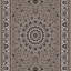 Aloisia Oriental Area Rug-1753606674