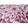 Ayalur Floral Indoor Rug
