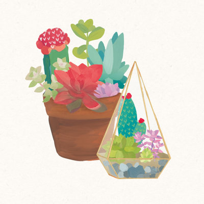 Succulent Garden IV 1 Piece Wrapped Canvas Painting