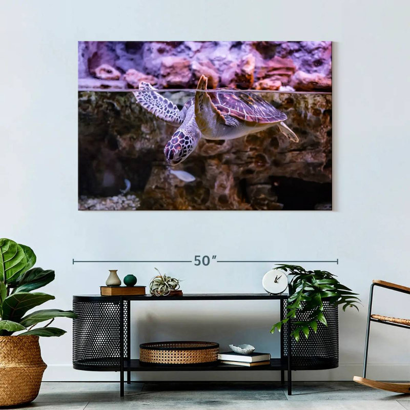 Brampt Turtle Aquarium, 32" H x 48" W