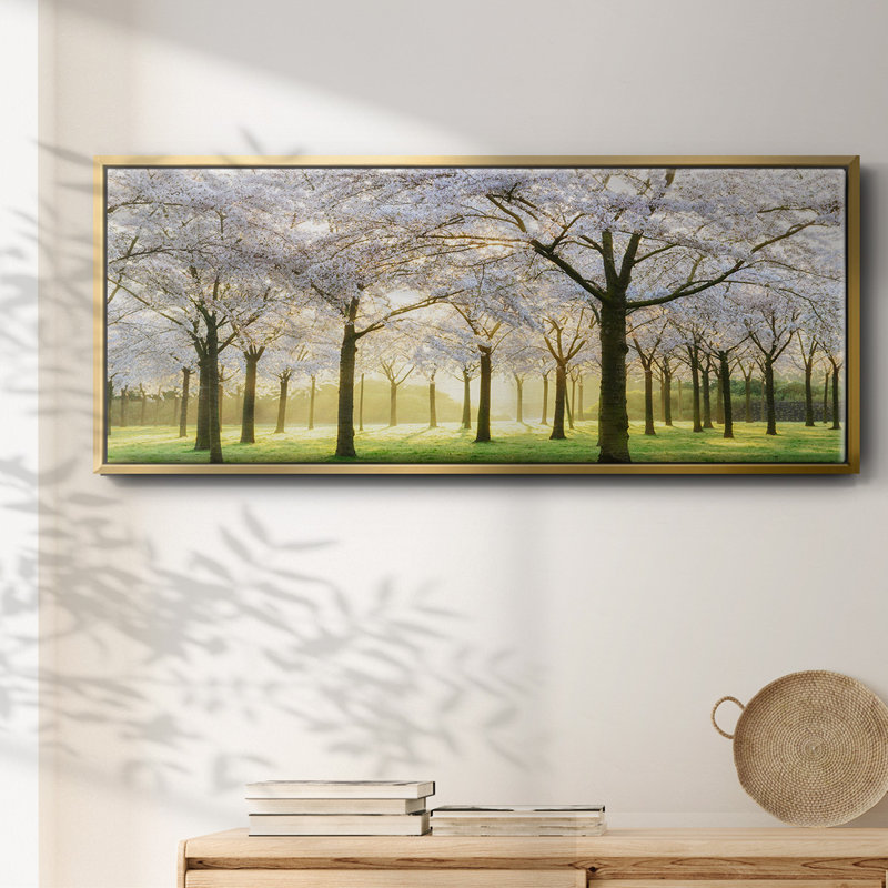 Bridal Trees- Framed Canvas, 24" H x 60" W