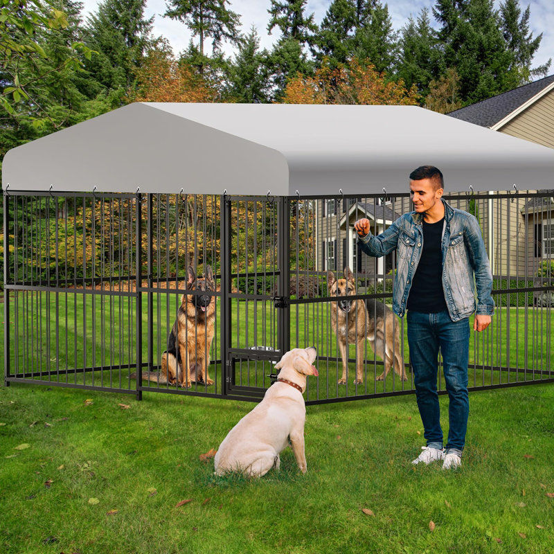 Chenil en fer 70,87 "avec porte